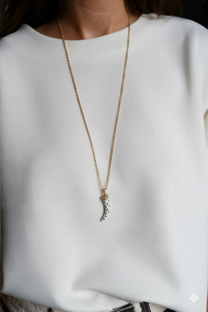 Collier maille forçat pendentif corne